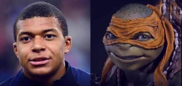 seaso